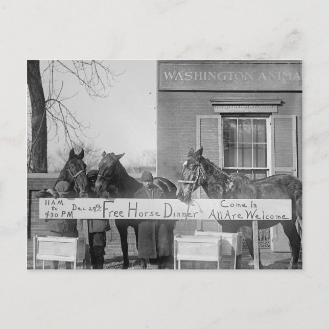 Freies Abendessen für Pferde, 1923 Postkarte (Vorderseite)