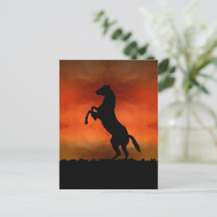 Freies Pferd bei Sonnenuntergang Postkarte