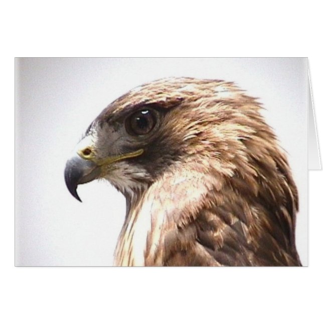 Freiheit (Vorderseite (Horizontal))