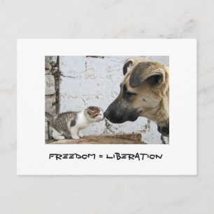 Freiheit = Befreiung Postkarte