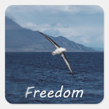 Freiheit, den Ozean zu überqueren