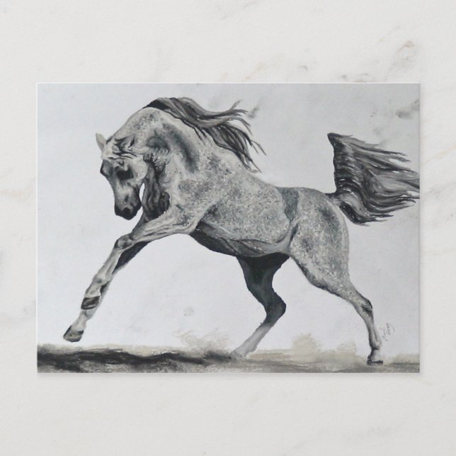 Freiheit des Geistes Postkarte (Vorderseite)