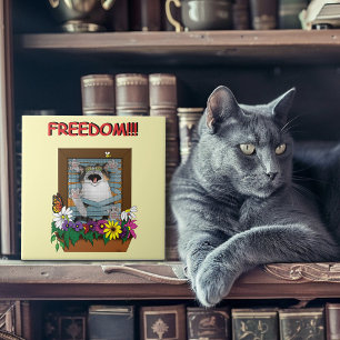 Freiheit Flucht Lustige Katze Gelbe Blumen Fenster Fliese