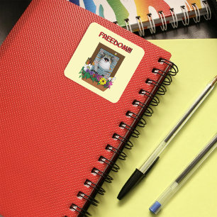 Freiheit Flucht Lustige Katze Gelbe Blumen Fenster Quadratischer Aufkleber