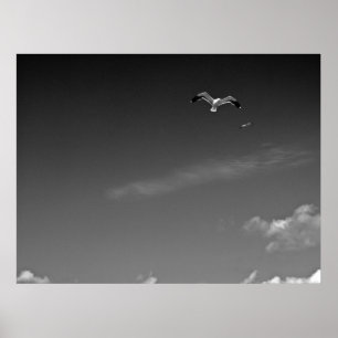 Freiheit in BW Poster