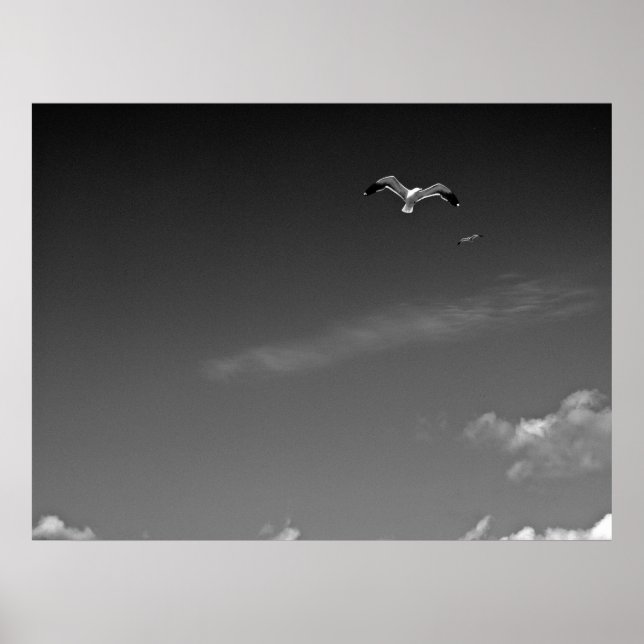 Freiheit in BW Poster (Vorne)