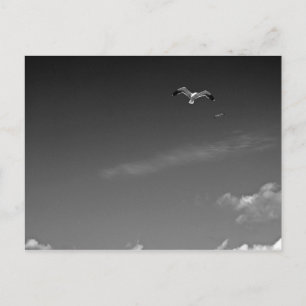 Freiheit in der Postkarte