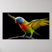 🌈 Freiheitsflug Lorikeet - Dynamischer Regenbogen