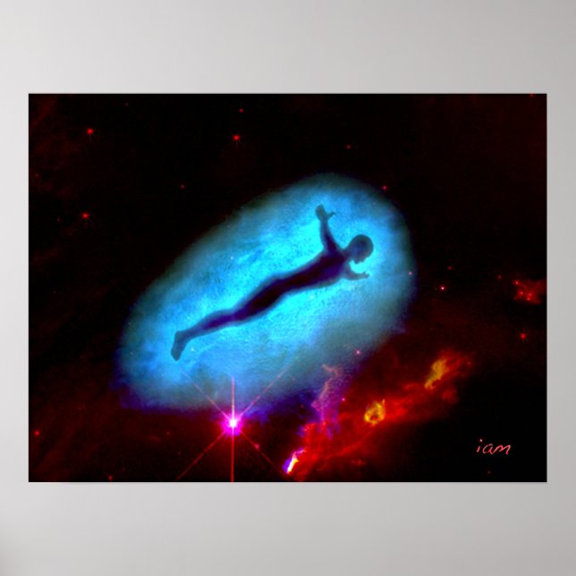 Freiheitsflug Poster (Vorne)