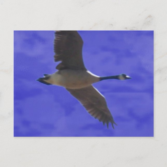 Freiheitsgespräche Postkarte (Vorderseite)