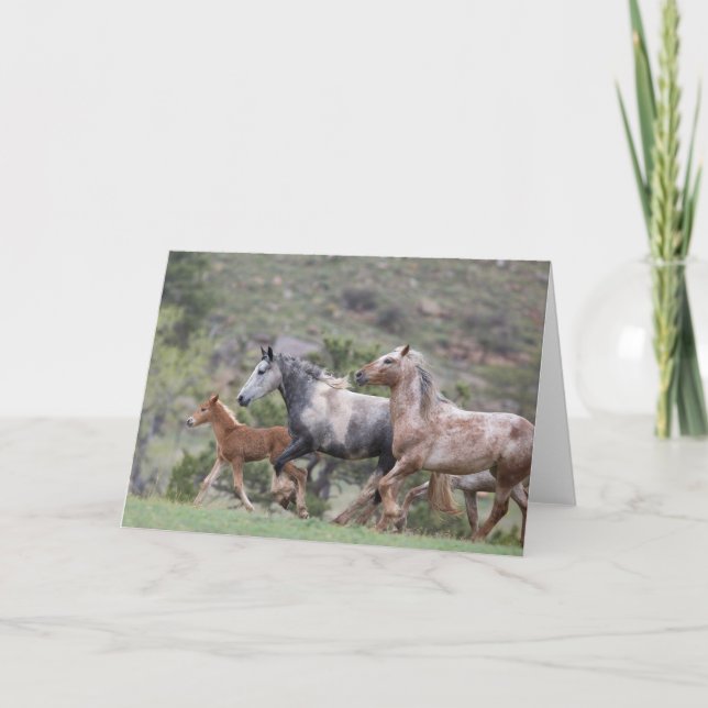 Freiheitslauf II: Galloping für Freie Gruß Karte (Vorderseite)