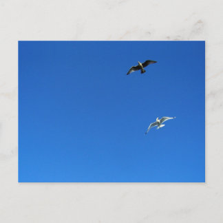 Freiheitstanz Postkarte
