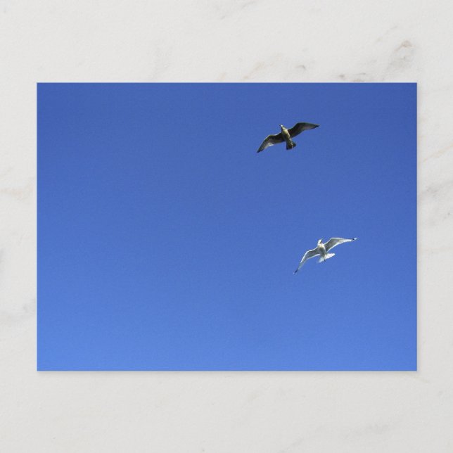 Freiheitstanz Postkarte (Vorderseite)
