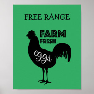 Freilandhaltung Frische Eier Poster