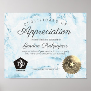 Freiwilligenzeugnis Poster