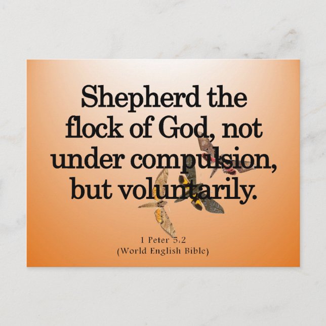 Freiwilliger Dienst 1 Peter 5-2 Postkarte (Vorderseite)