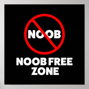 Freizone Noob Poster