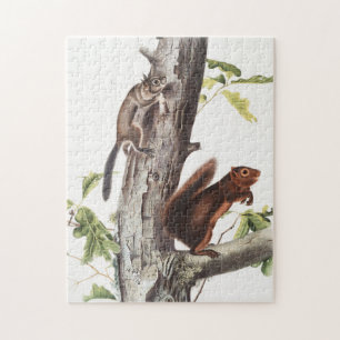 Fremonts Eichhörnchen und Ruß-Eichhörnchen-Illustr Puzzle
