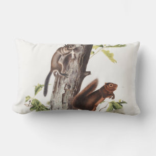 Fremont's Eichhörnchen und Sooty Eichhörnchen Illu Lendenkissen
