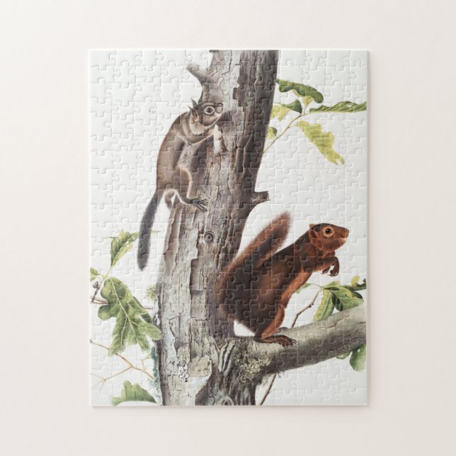 Fremont's Eichhörnchen und Sooty Eichhörnchen Illu Puzzle (Vertikal)