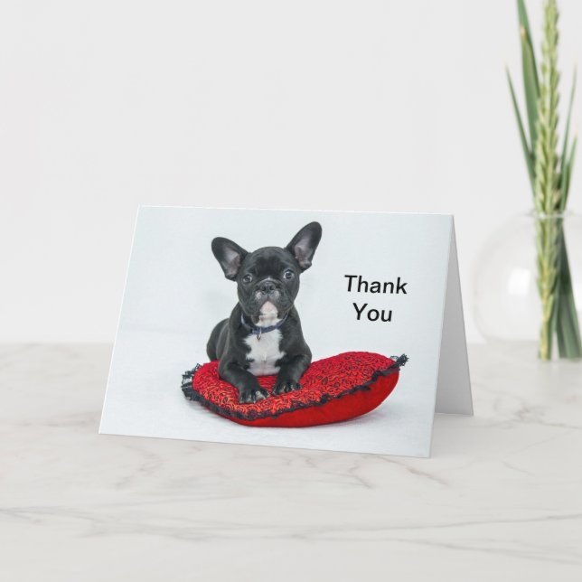 French Bulldog Black Pillow Foto Dankeskarte (Vorderseite)