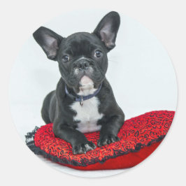 French Bulldog Black Pillow Foto Runder Aufkleber