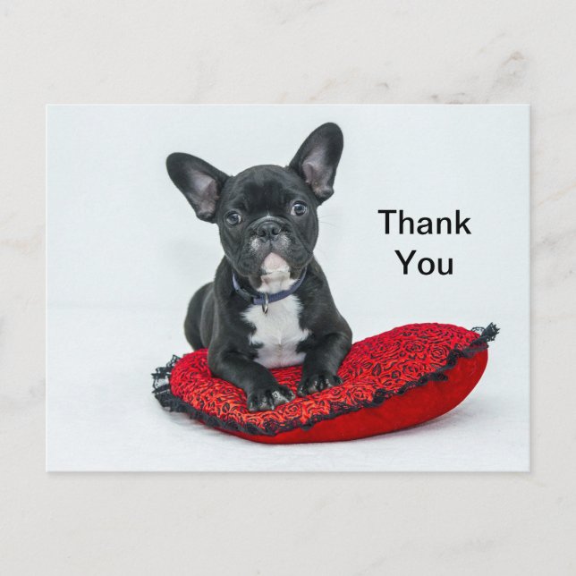French Bulldog Black Pillow Foto Vielen Dank Postkarte (Vorderseite)