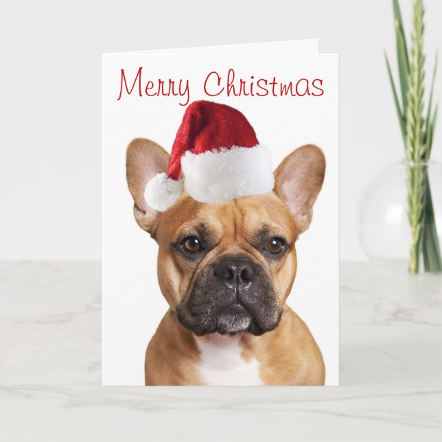 French Bulldog Christmas Card Feiertagskarte (Vorderseite)