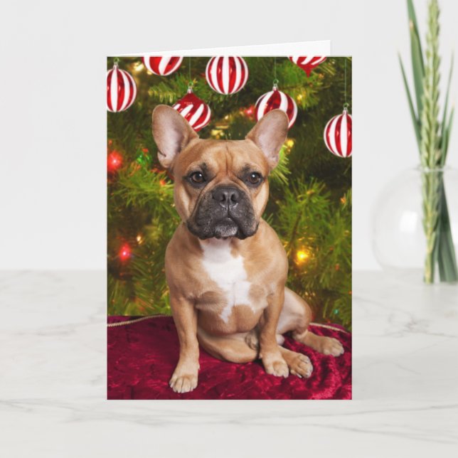 French Bulldog Christmas Card Feiertagskarte (Vorderseite)