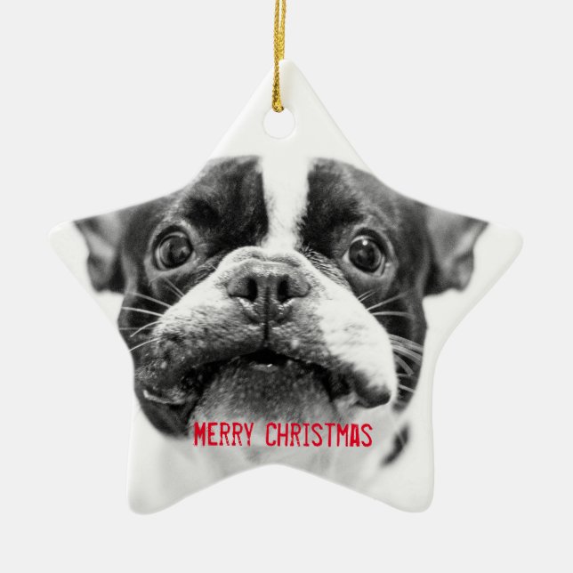 French Bulldog Christmas Ornament Star Custom (Vorne)