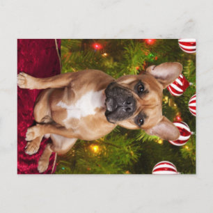French Bulldog Christmas Postcard Feiertagspostkarte