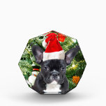 French Bulldog Christmas Tree Ornaments Snowman Acryl Auszeichnung<br><div class="desc">Niedlicher französischer Bulldogge mit Weihnachtsbaumschmuck Snow Man im Hintergrund.</div>