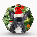 French Bulldog Christmas Tree Ornaments Snowman Auszeichnung<br><div class="desc">Niedlicher französischer Bulldogge mit Weihnachtsbaumschmuck Snow Man im Hintergrund.</div>