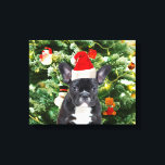 French Bulldog Christmas Tree Ornaments Snowman Leinwanddruck<br><div class="desc">Französische Bulldogge Weihnachtsbaumschmuck Snowman Leinwand. Niedlicher französischer Bulldog mit Weihnachtsbaumschmuck Snow Man im Hintergrund Foto Leinwand.</div>