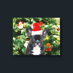 French Bulldog Christmas Tree Ornaments Snowman Leinwanddruck<br><div class="desc">Französische Bulldogge Weihnachtsbaumschmuck Snowman Leinwand. Niedlicher französischer Bulldog mit Weihnachtsbaumschmuck Snow Man im Hintergrund Foto Leinwand.</div>