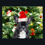 French Bulldog Christmas Tree Ornaments Snowman Poster<br><div class="desc">Französischer Bulldog Weihnachtsbaum Ornamente Snowman Poster. Niedlicher französischer Bulldog mit Weihnachtsbaumschmuck Snow Man im Hintergrund Foto Poster.</div>