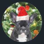 French Bulldog Christmas Tree Ornaments Snowman Runder Aufkleber<br><div class="desc">Niedlicher französischer Bulldogge mit Weihnachtsbaumschmuck Snow Man im Hintergrund.</div>