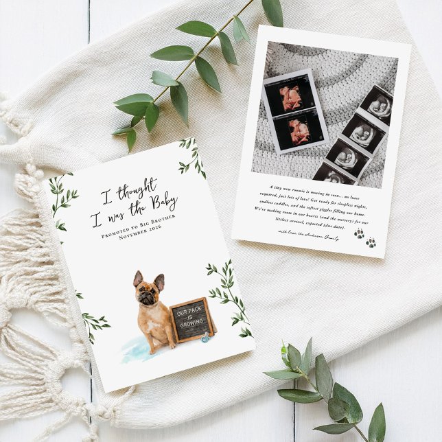French Bulldog Dog Pregnancy Announcement Ankündigung (Von Creator hochgeladen)