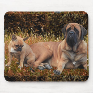 French Bulldog English Mastiff die Schönen Mousepad