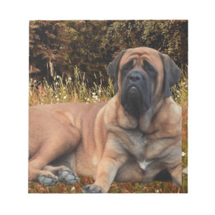 French Bulldog English Mastiff die Schönen Notizblock