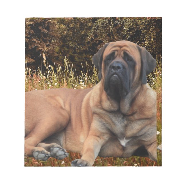 French Bulldog English Mastiff die Schönen Notizblock (Vorderseite)