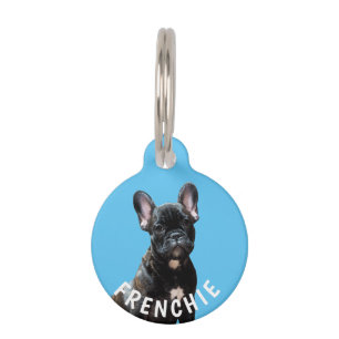 FRENCH BULLDOG FOTO NAME PET TAG Custom Blue Haustiermarke