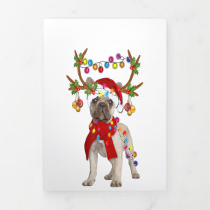 French Bulldog Gorgeous Reindeer Weihnachtsgeschen Dreifach Gefaltete Ankündigung