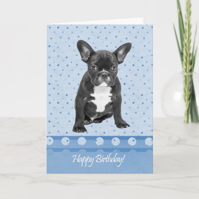 French Bulldog Happy Birthday Card Blue Punkte Karte (Vorderseite)