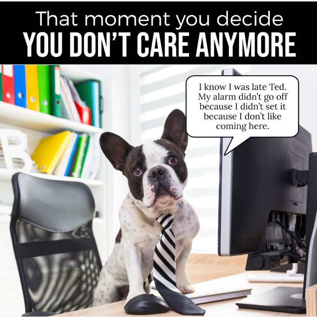 French Bulldog hat keinen Set-Alarm-T - Shirt (Von Creator hochgeladen)