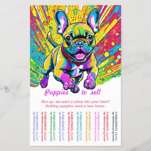 French Bulldog in Ihre Zuhause Flyer
