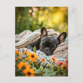 French Bulldog in Knitted Dog Attire Feiertagspostkarte