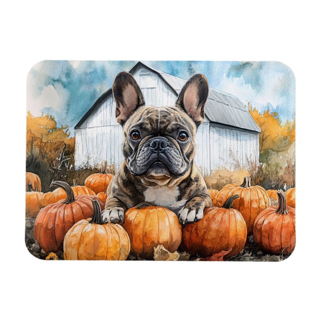 French Bulldog in Pumpkin Patch Flexibel Magnet (Horizontal)