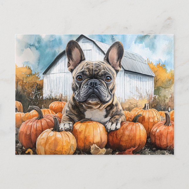 French Bulldog in Pumpkin Patch Postkarte (Vorderseite)