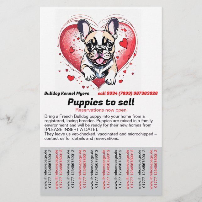 French Bulldog into your home Flyer (Vorne)